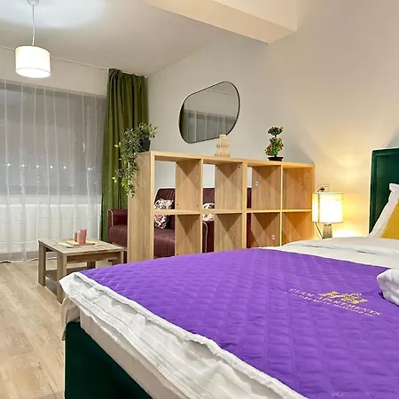 Coresi Mall Area Apartments By Glam Apartments-3